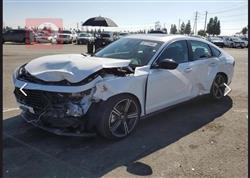 هوندا أكورد